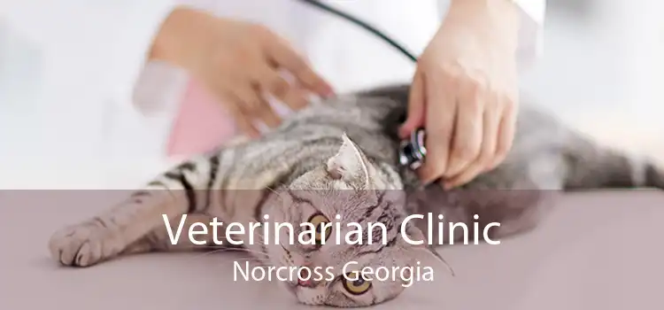 Veterinarian Clinic Norcross Georgia