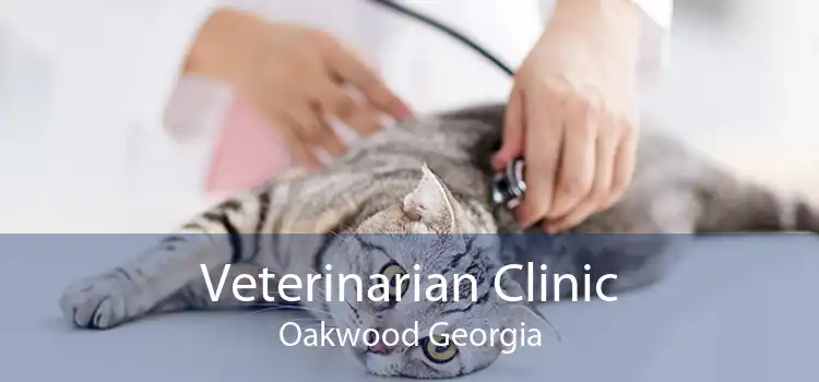 Veterinarian Clinic Oakwood Georgia