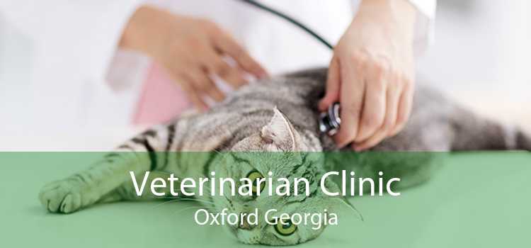 Veterinarian Clinic Oxford Georgia
