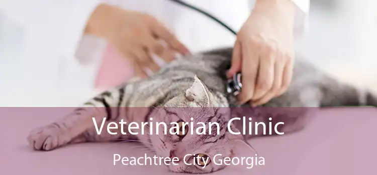 Veterinarian Clinic Peachtree City Georgia