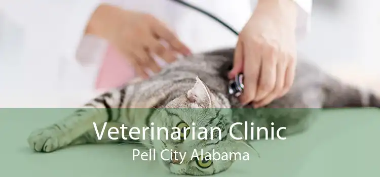 Veterinarian Clinic Pell City Alabama