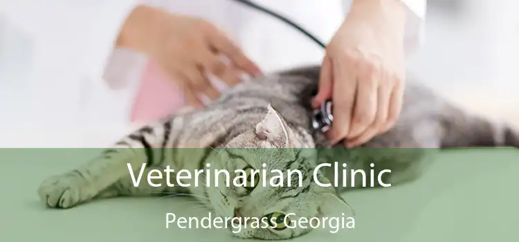 Veterinarian Clinic Pendergrass Georgia