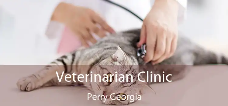 Veterinarian Clinic Perry Georgia