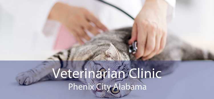 Veterinarian Clinic Phenix City Alabama