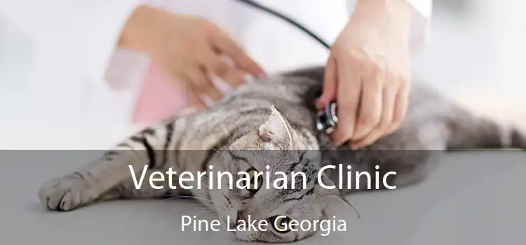 Veterinarian Clinic Pine Lake Georgia