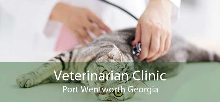 Veterinarian Clinic Port Wentworth Georgia