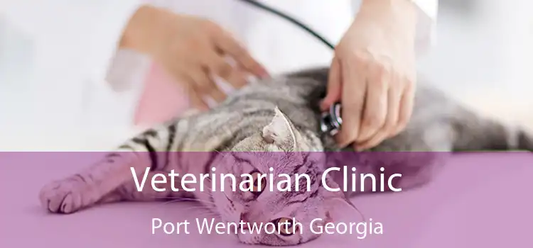 Veterinarian Clinic Port Wentworth Georgia