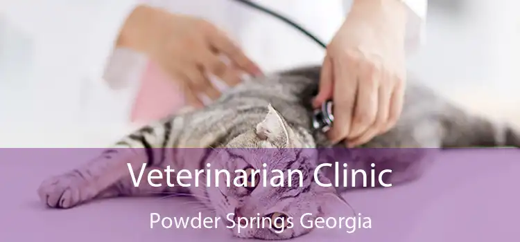 Veterinarian Clinic Powder Springs Georgia