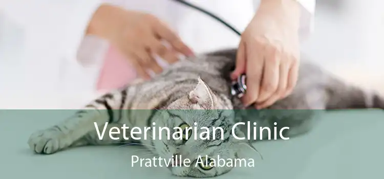 Veterinarian Clinic Prattville Alabama