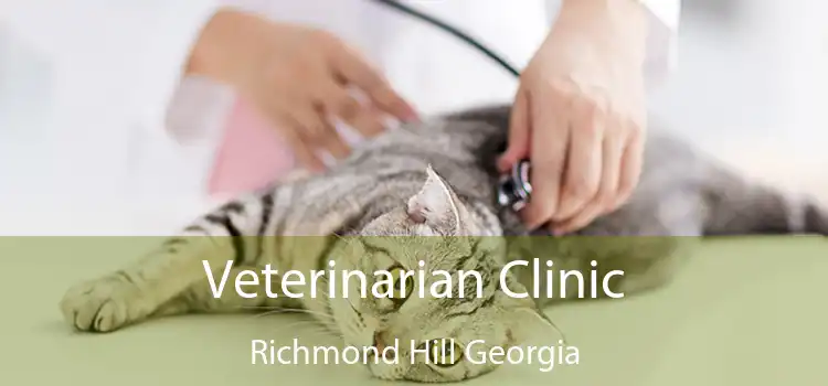 Veterinarian Clinic Richmond Hill Georgia