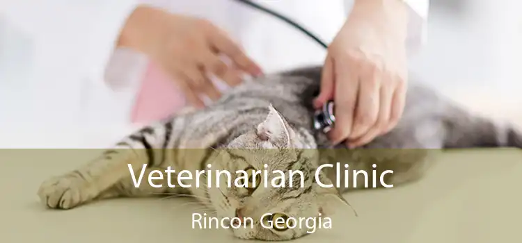 Veterinarian Clinic Rincon Georgia