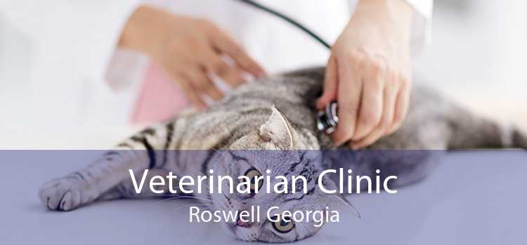 Veterinarian Clinic Roswell Georgia
