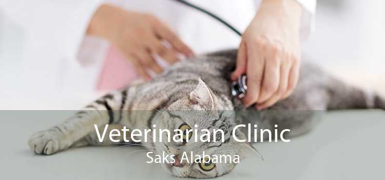 Veterinarian Clinic Saks Alabama