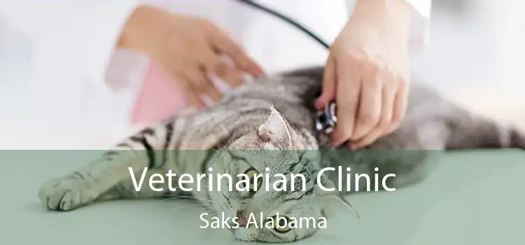 Veterinarian Clinic Saks Alabama