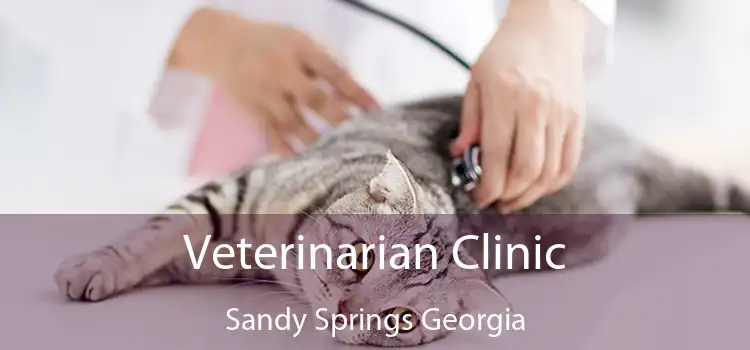 Veterinarian Clinic Sandy Springs Georgia