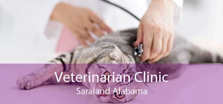 Veterinarian Clinic Saraland Alabama