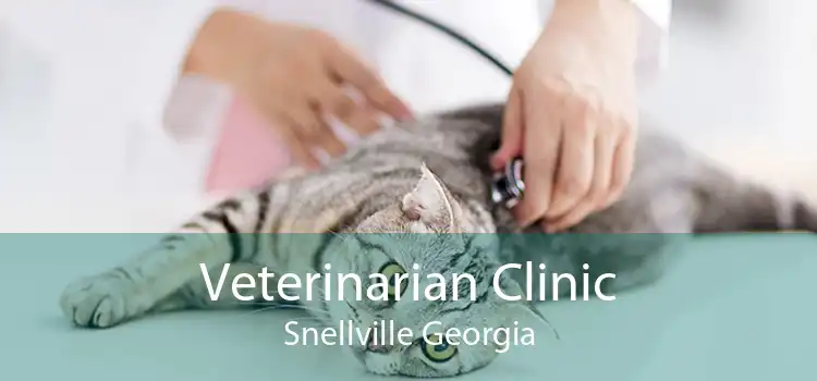 Veterinarian Clinic Snellville Georgia