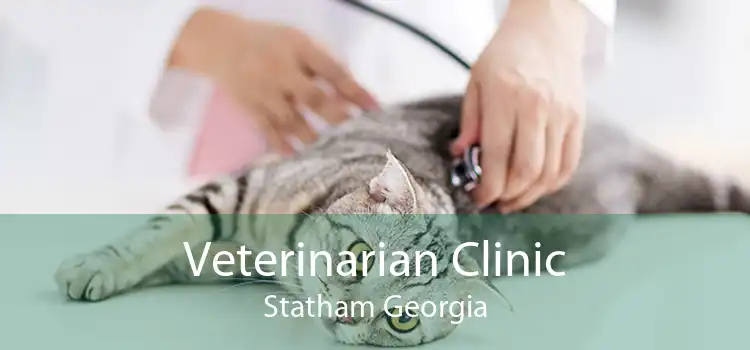 Veterinarian Clinic Statham Georgia