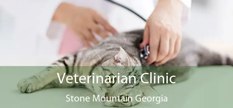 Veterinarian Clinic Stone Mountain Georgia