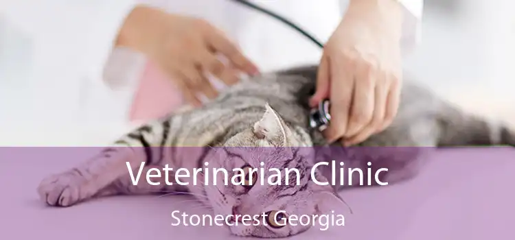 Veterinarian Clinic Stonecrest Georgia