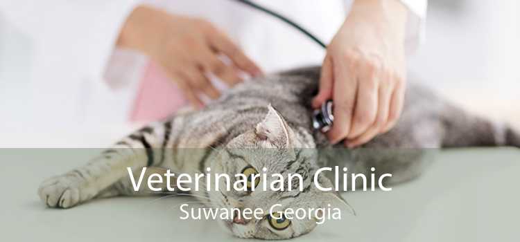 Veterinarian Clinic Suwanee Georgia