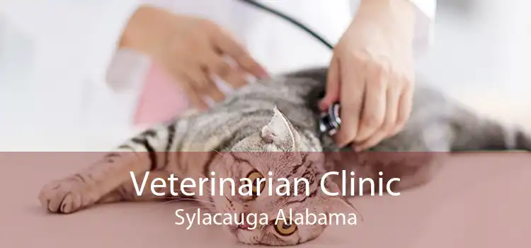 Veterinarian Clinic Sylacauga Alabama