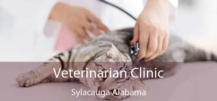 Veterinarian Clinic Sylacauga Alabama