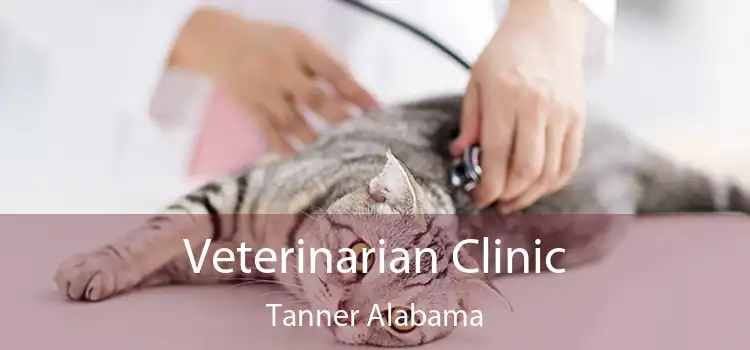 Veterinarian Clinic Tanner Alabama