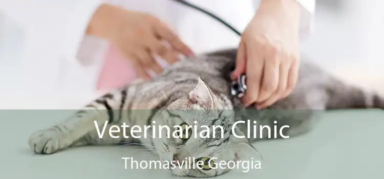Veterinarian Clinic Thomasville Georgia