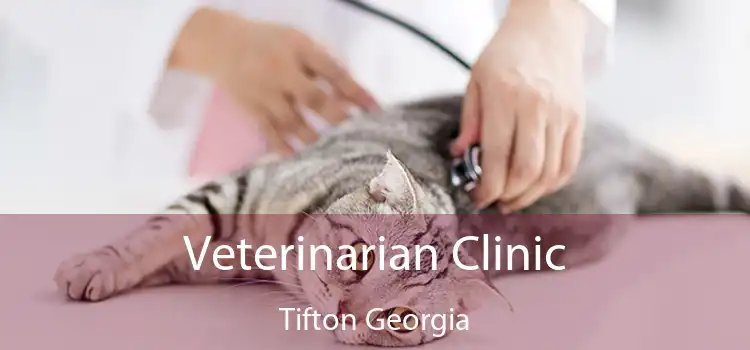 Veterinarian Clinic Tifton Georgia