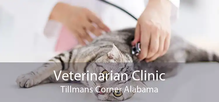 Veterinarian Clinic Tillmans Corner Alabama
