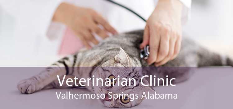 Veterinarian Clinic Valhermoso Springs Alabama
