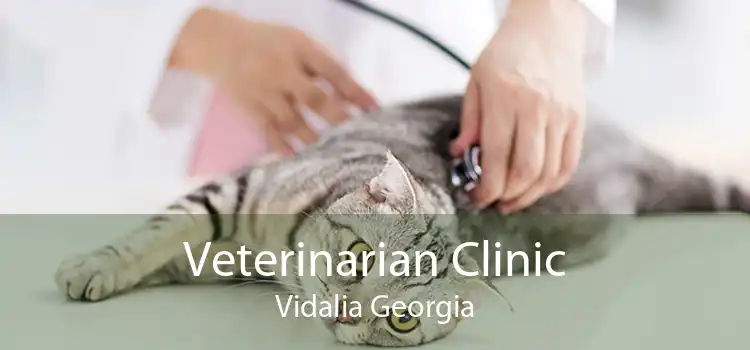 Veterinarian Clinic Vidalia Georgia