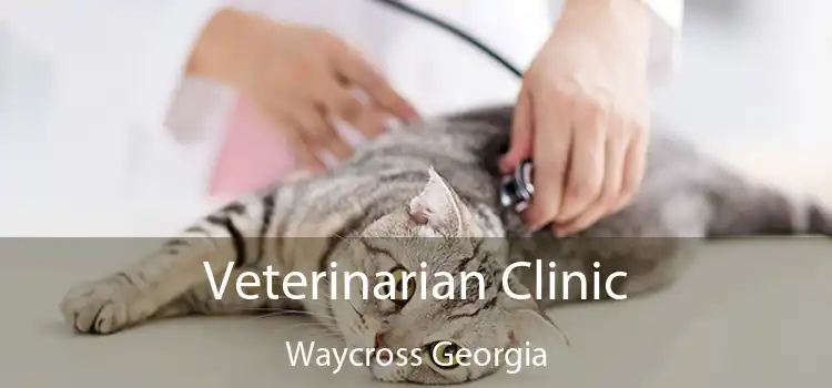 Veterinarian Clinic Waycross Georgia