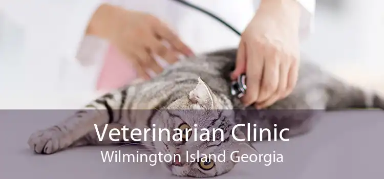 Veterinarian Clinic Wilmington Island Georgia